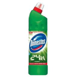 domestos pin 750ml-